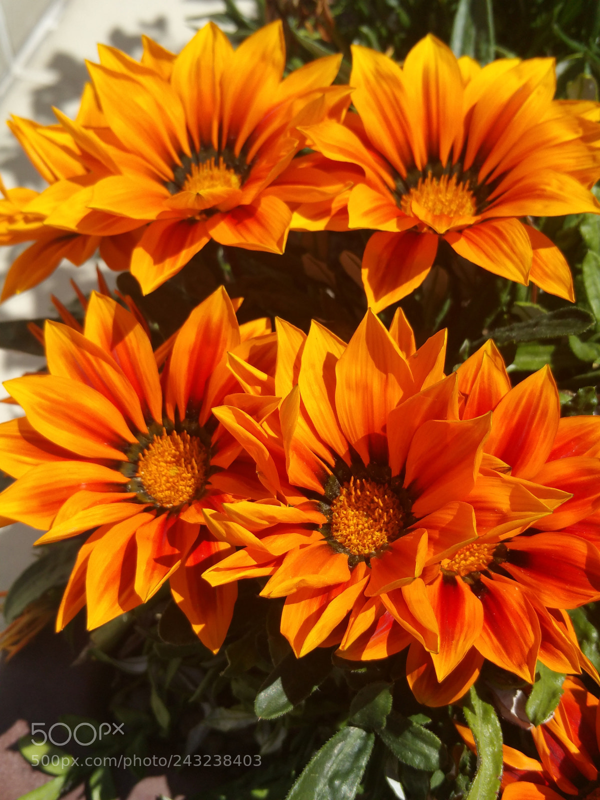 Samsung Galaxy Note Edge sample photo. Untitled photography