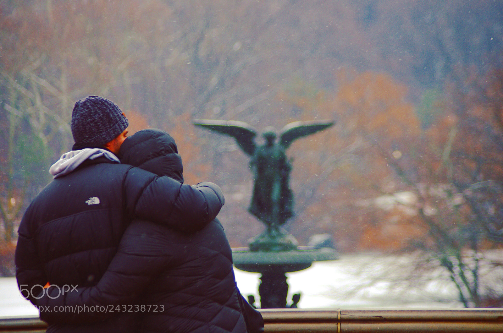 Pentax K-5 sample photo. Untitled photography