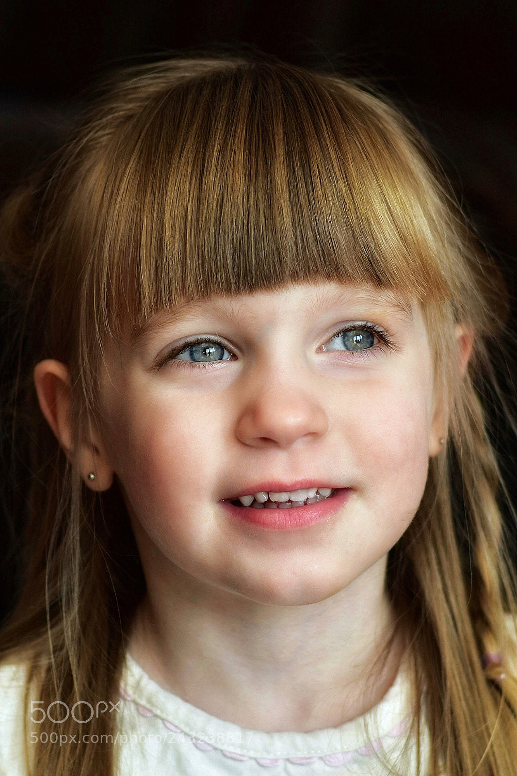 Nikon D5600 sample photo. Those blue eyes photography