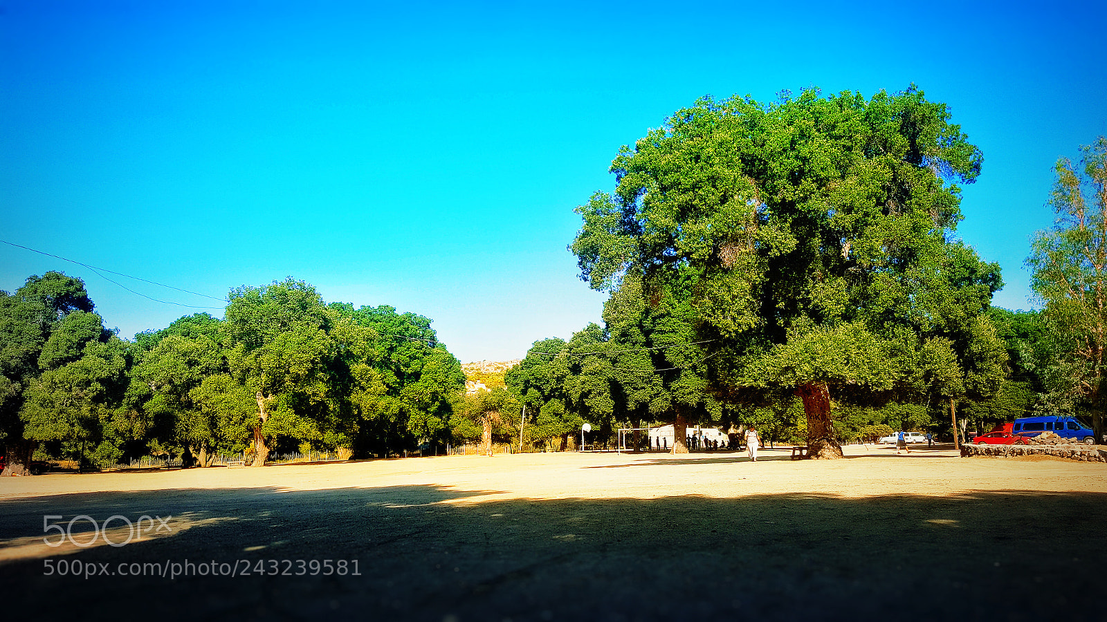 Samsung Galaxy S6 sample photo. Prado photography