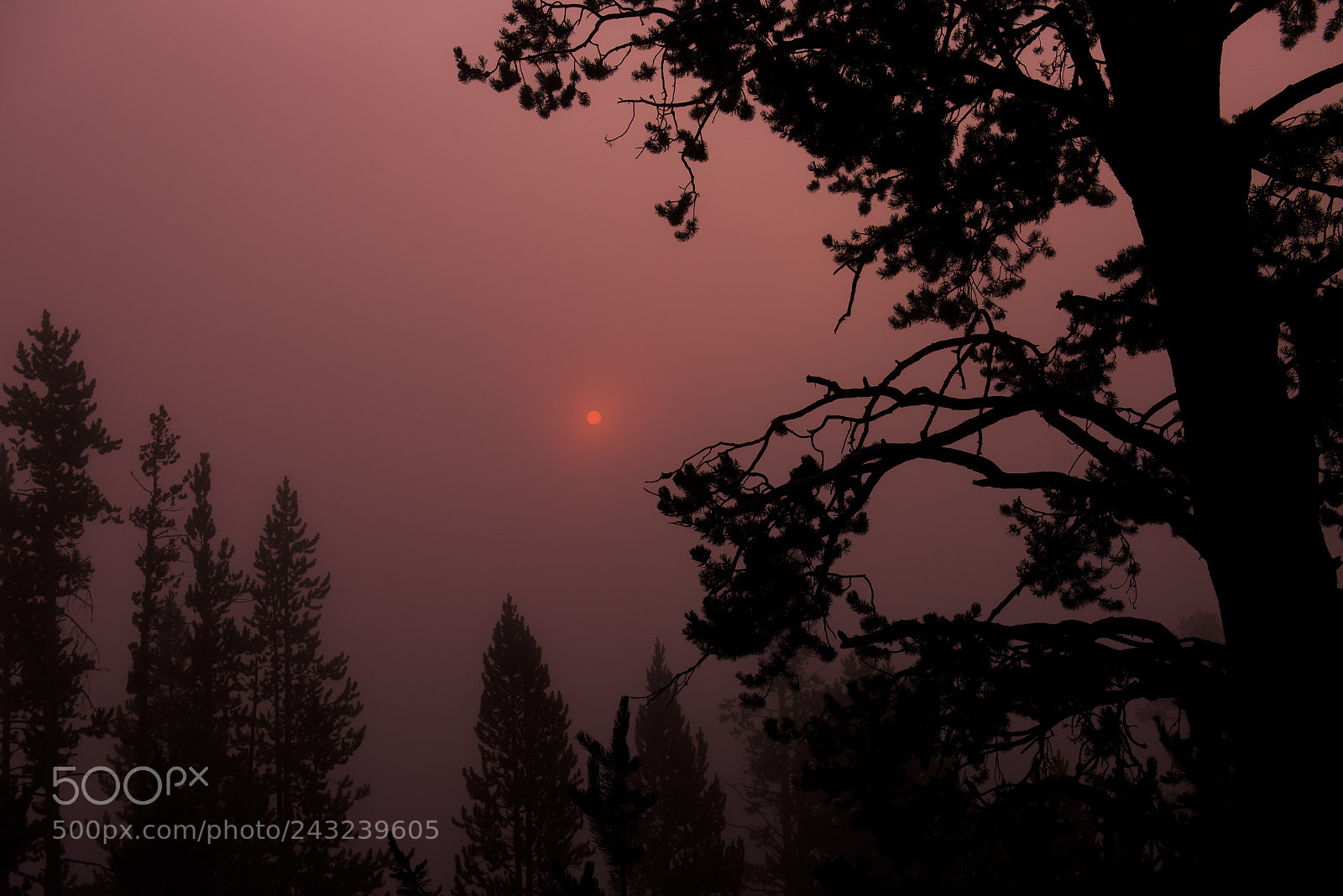 Nikon D810 sample photo. Gcanyon(of ) photography