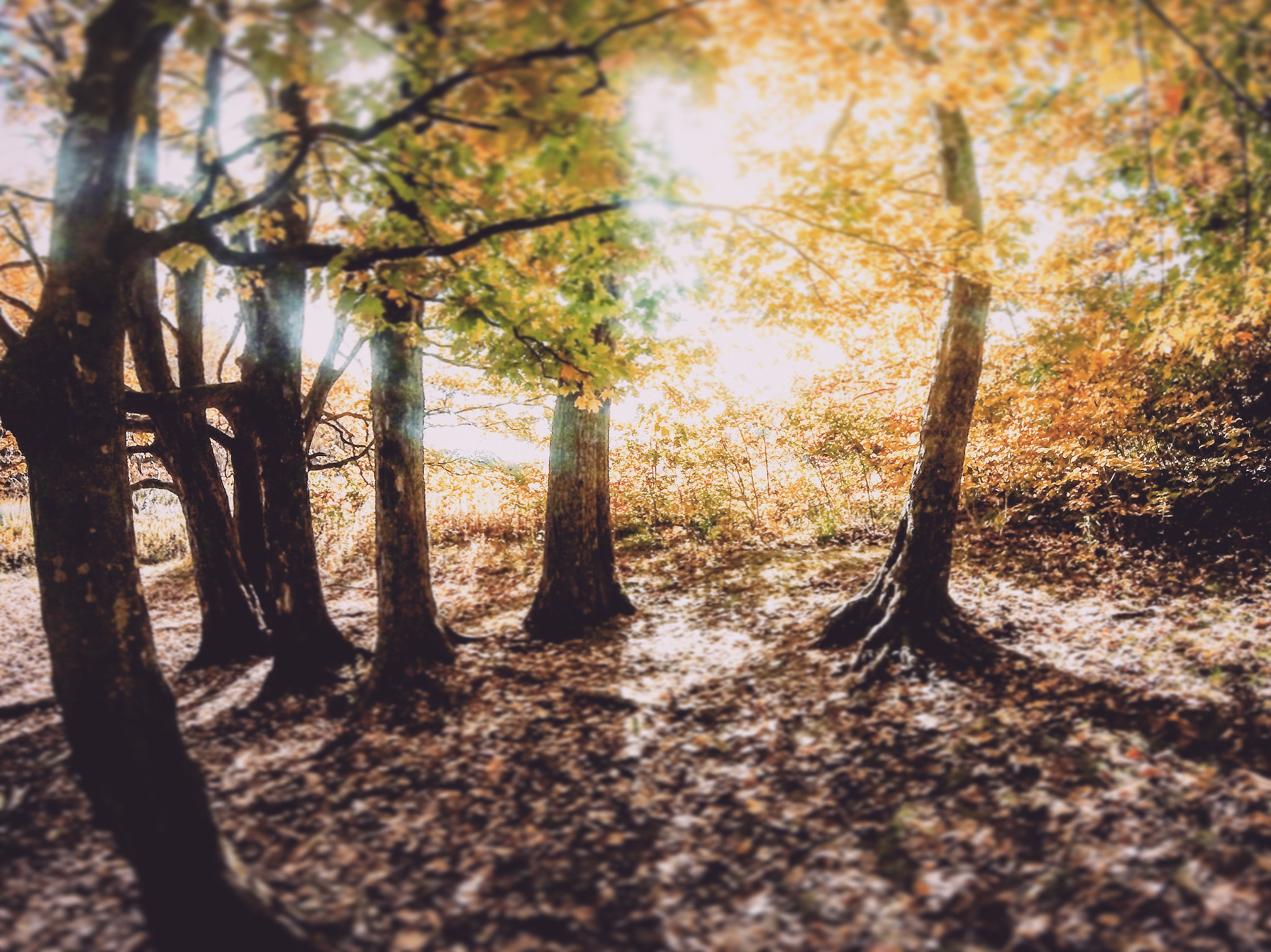 GoPro HERO sample photo. Finding myself through the shadows of the light. photography