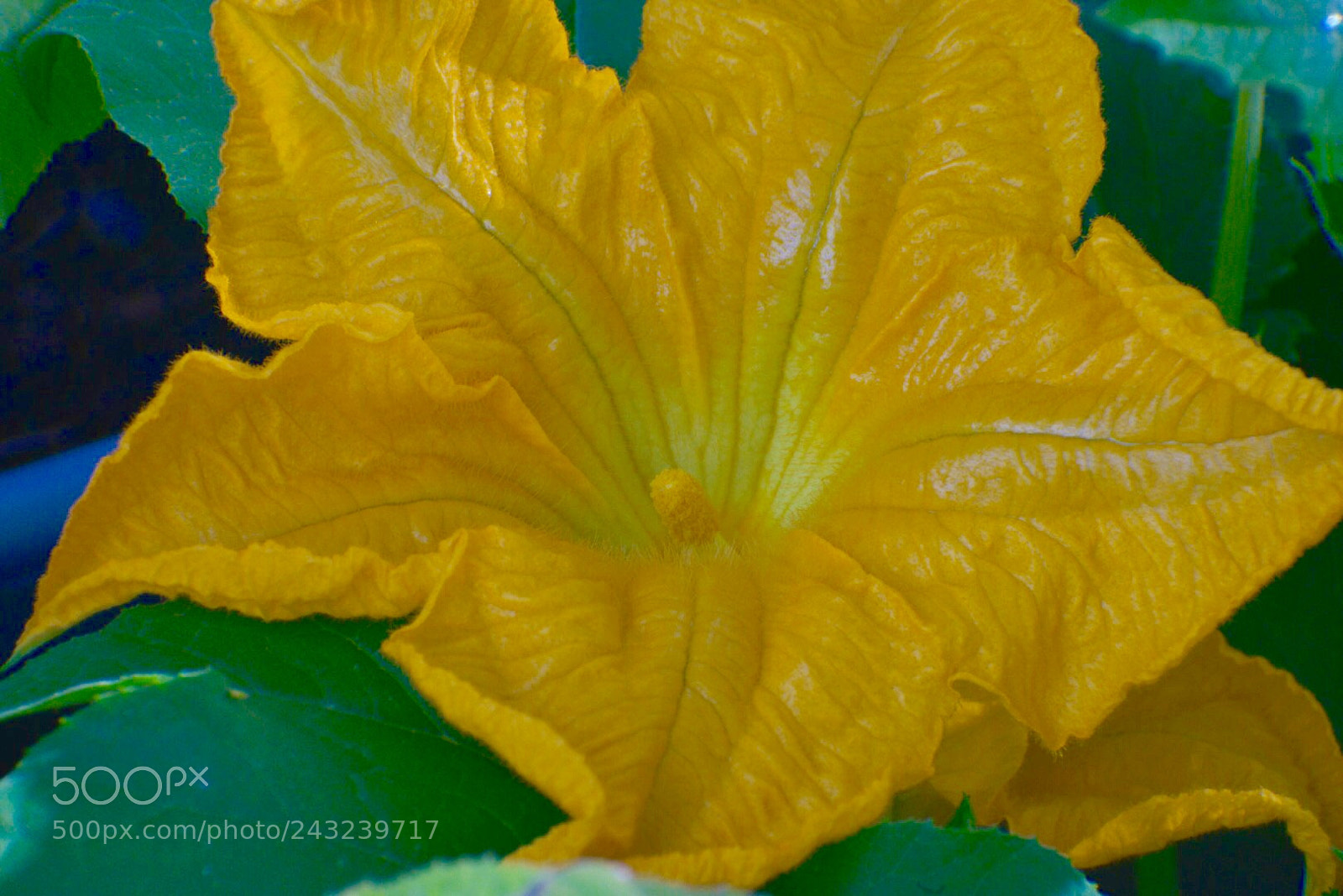 Nikon D610 sample photo. Untitled photography