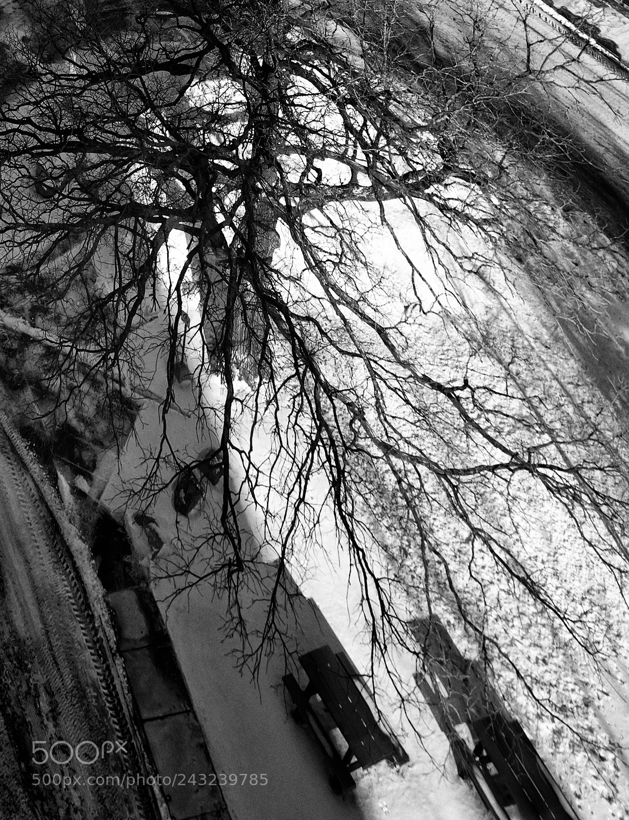 Nikon D610 sample photo. Perspective of winter photography