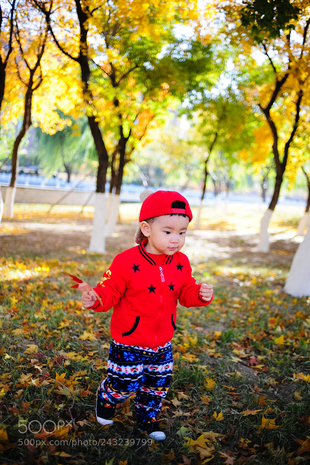 Nikon D3 sample photo. Untitled photography