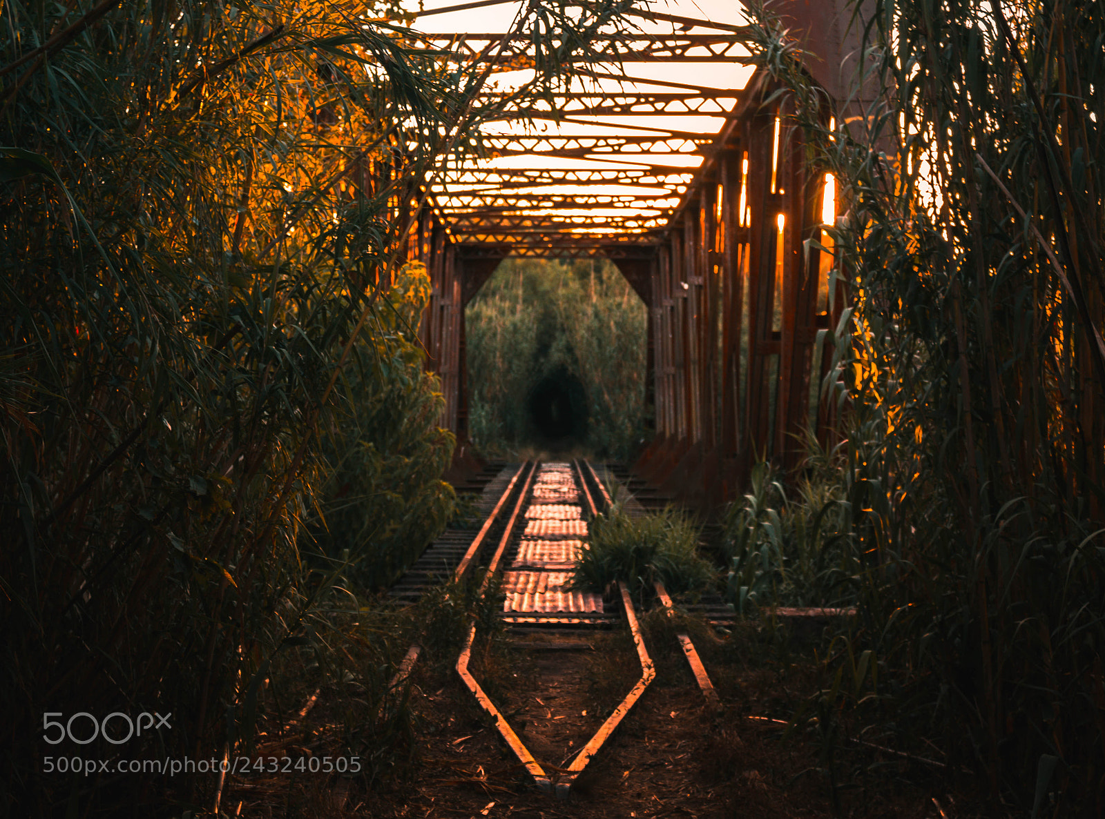 Canon EOS 700D (EOS Rebel T5i / EOS Kiss X7i) sample photo. The blackie bridge photography