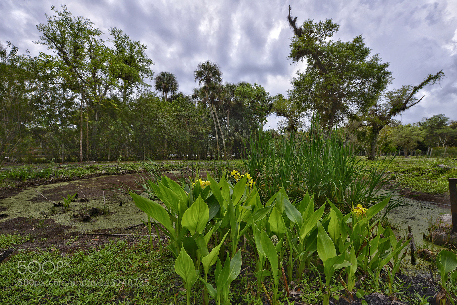 Nikon D800 sample photo. Alva landscape photography