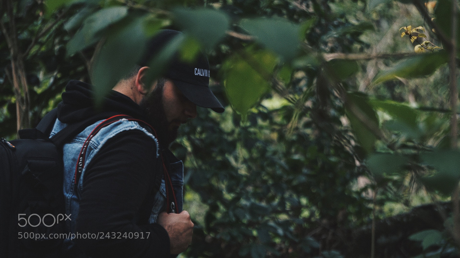 Sony a6300 sample photo. ...in the wild photography
