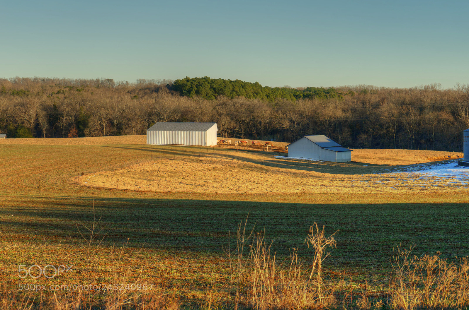 Sony a7 II sample photo. Great winter day photography