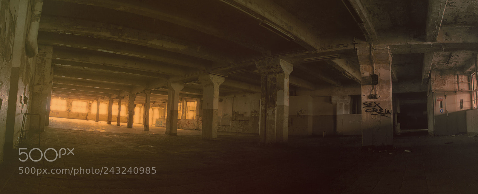 Canon EOS 60D sample photo. Brandzwieback photography