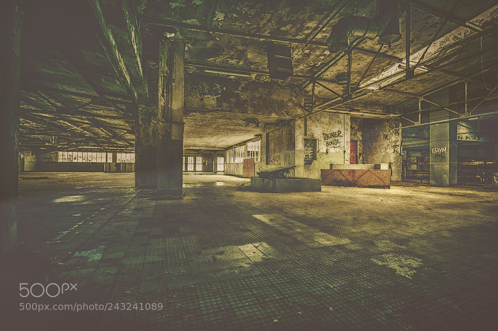 Canon EOS 60D sample photo. Brandzwieback photography