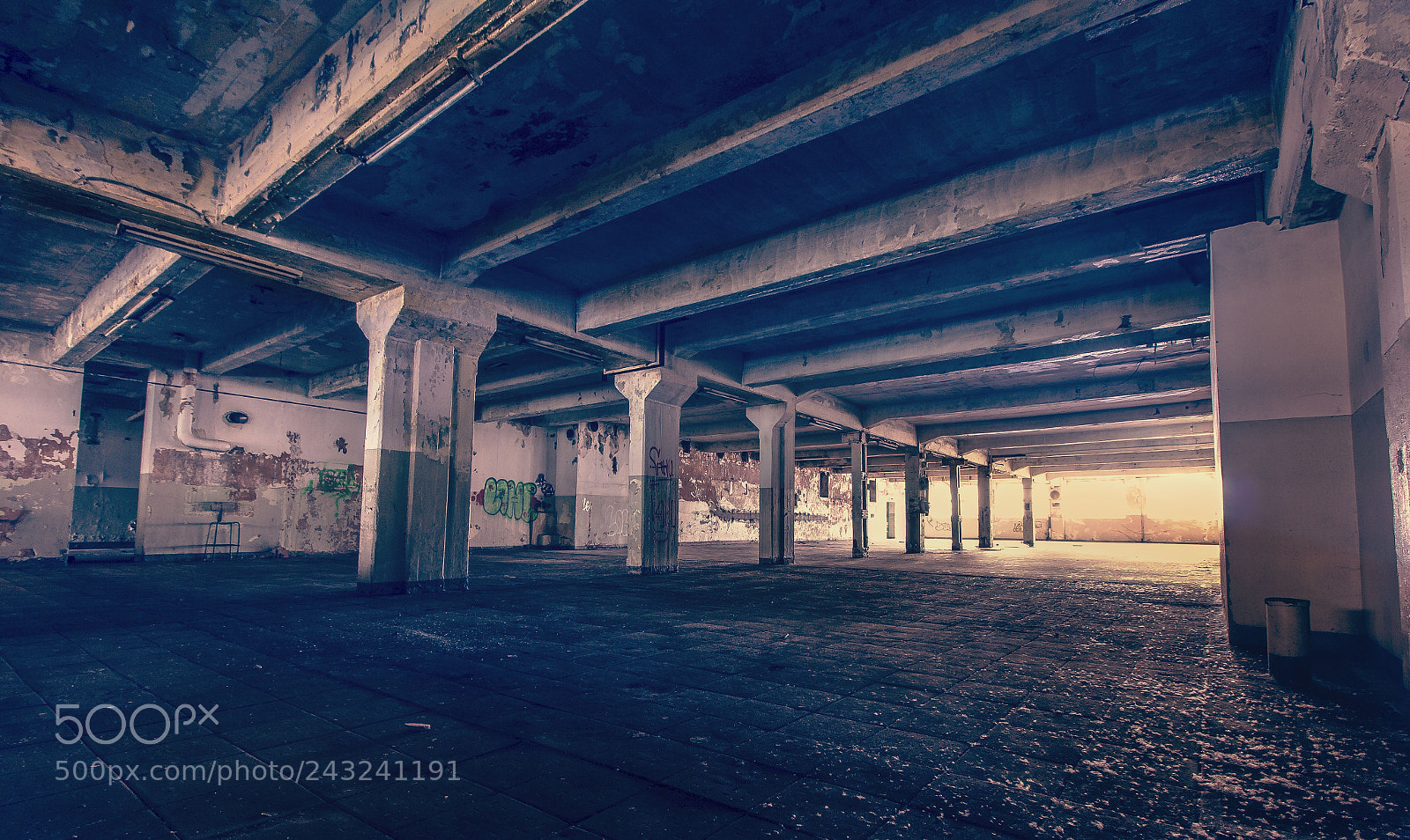 Canon EOS 60D sample photo. Brandzwieback photography