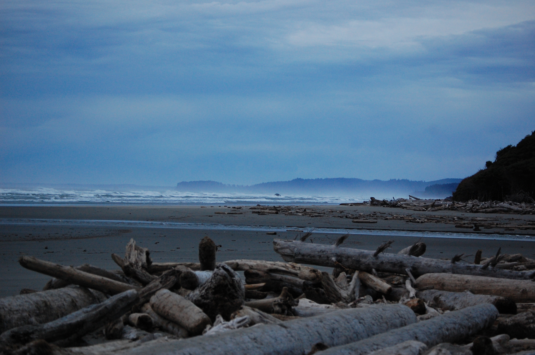 Nikon D40 sample photo. Washington coast at dusk photography