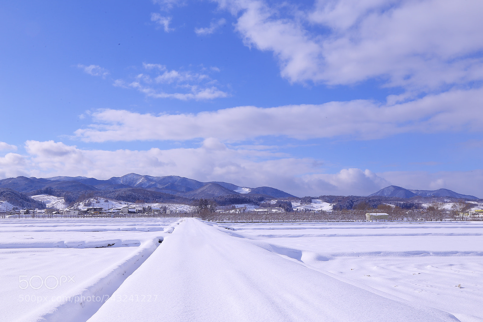 Canon EOS 6D + Canon EF 24-105mm F4L IS USM sample photo. On a fine day … photography