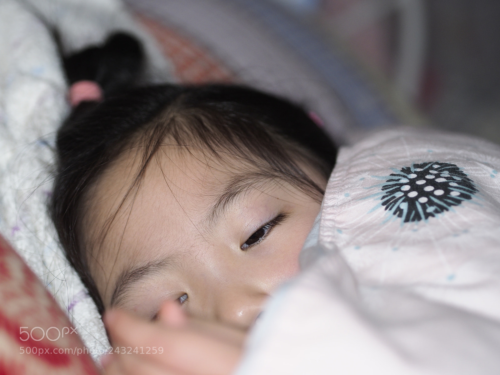 Olympus PEN E-P5 sample photo. Untitled photography