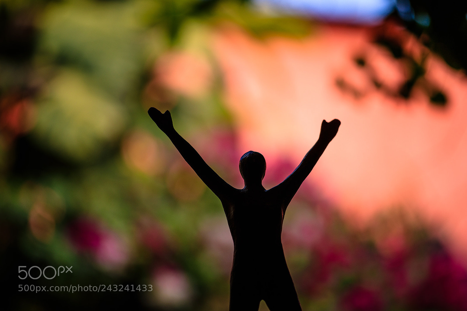 Canon EOS-1D X Mark II sample photo. Yay, bokeh! photography