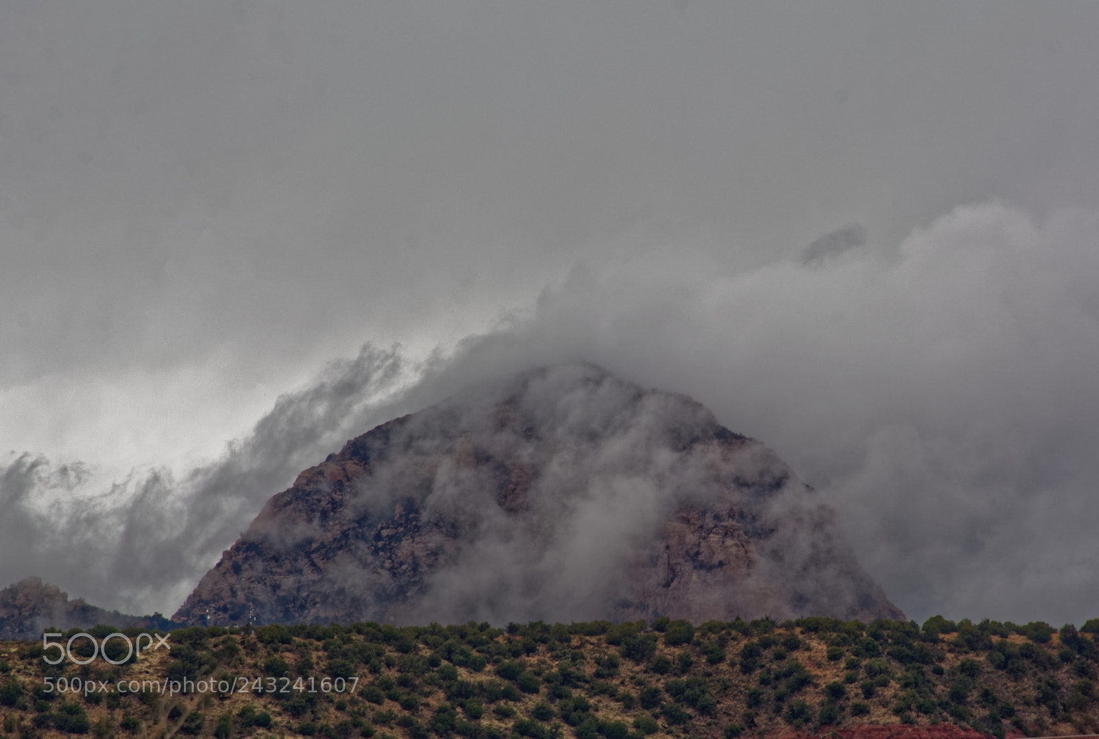 Nikon D7100 sample photo. Engulfed photography