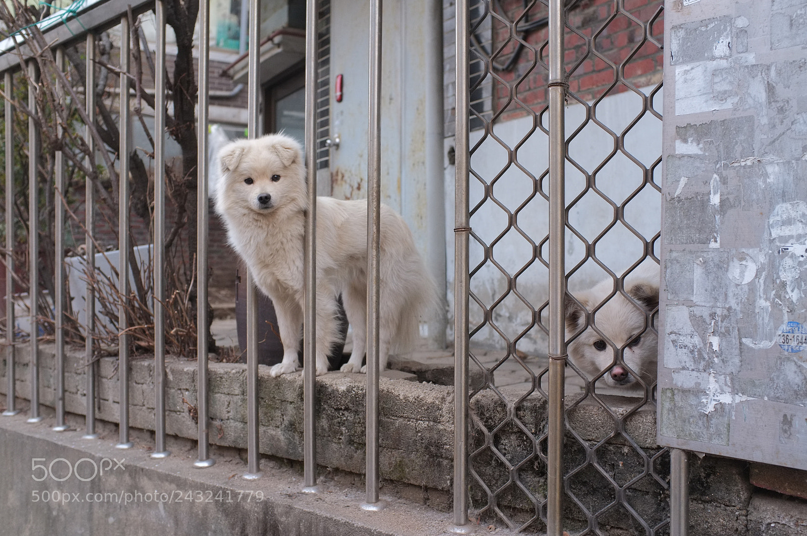 Fujifilm FinePix X100 sample photo. #후지필름 #후지피플 #후지카메라 #후지x100 #x100 #fujix100 #후지 #fu ... photography