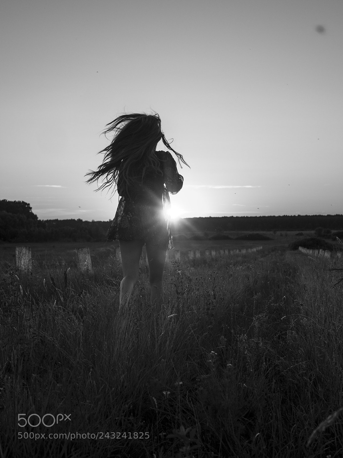 Panasonic Lumix DMC-GH4 sample photo. P photography