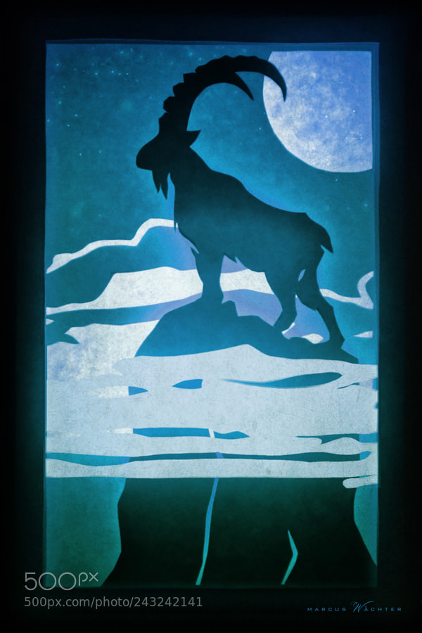 Nikon D3100 sample photo. Papercut - capricorn photography