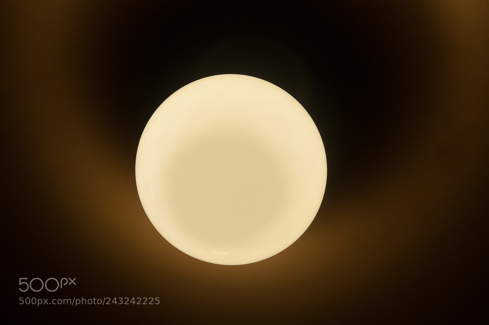 Nikon D90 sample photo. Lightbulb photography