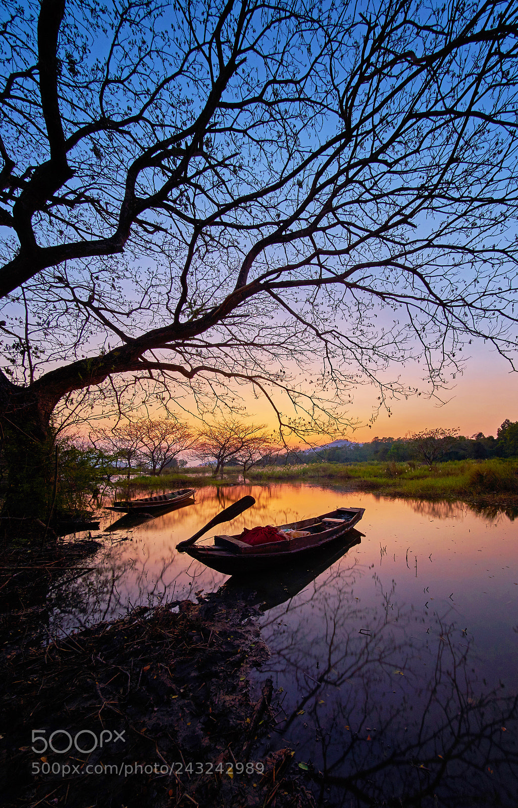 Sony a7 II sample photo. Fisherman boat with tree photography