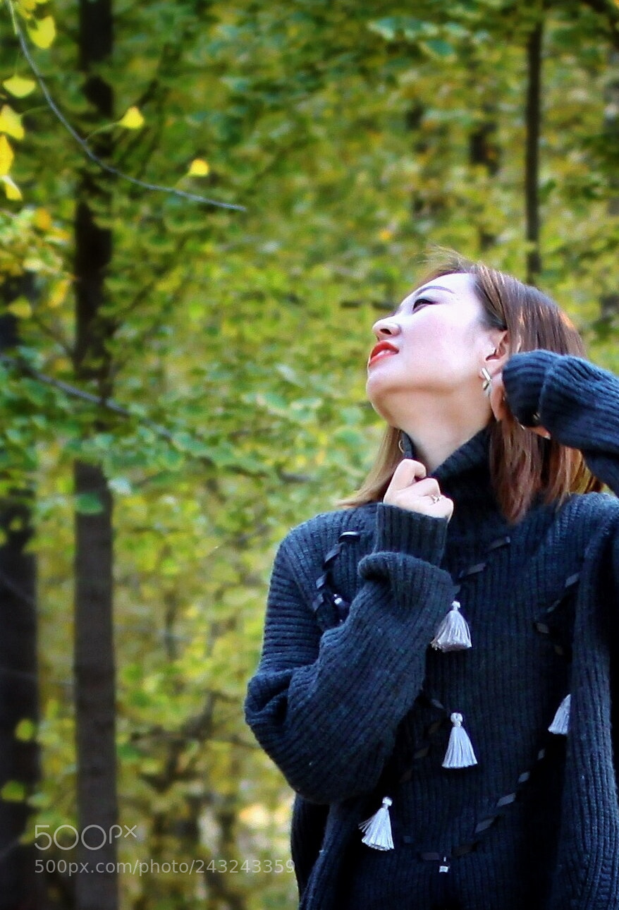 Canon EOS 50D sample photo. 我的同事 photography