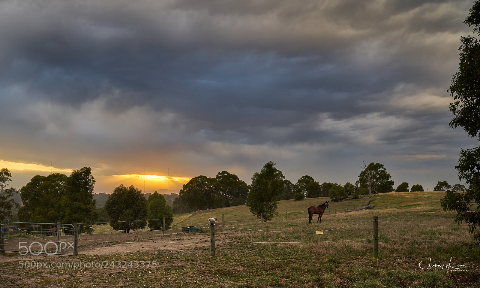 Sony a7R II sample photo. Sunrise, plenty river trail photography