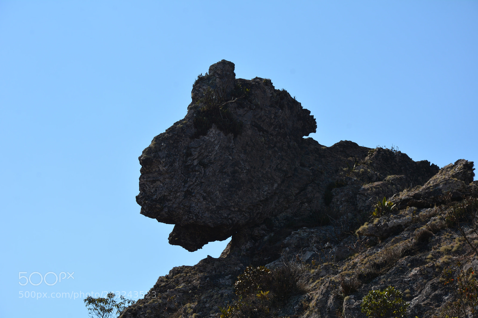 Nikon D7100 sample photo. Ffs photography