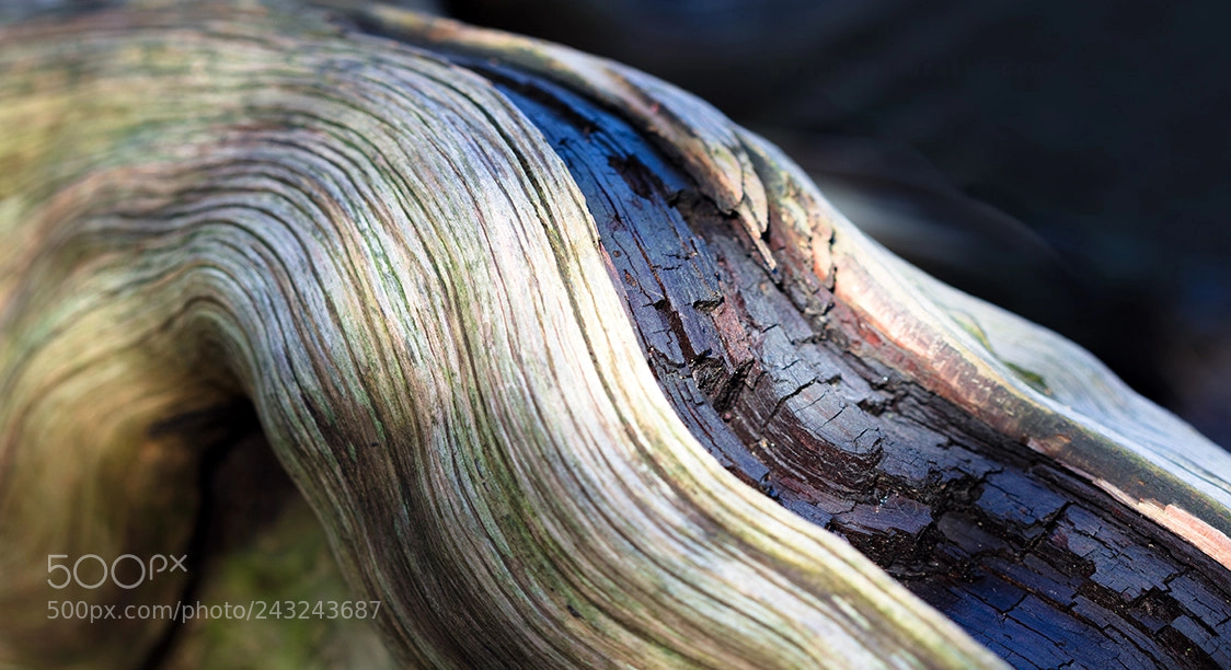 Canon EOS 5DS sample photo. Hope photography