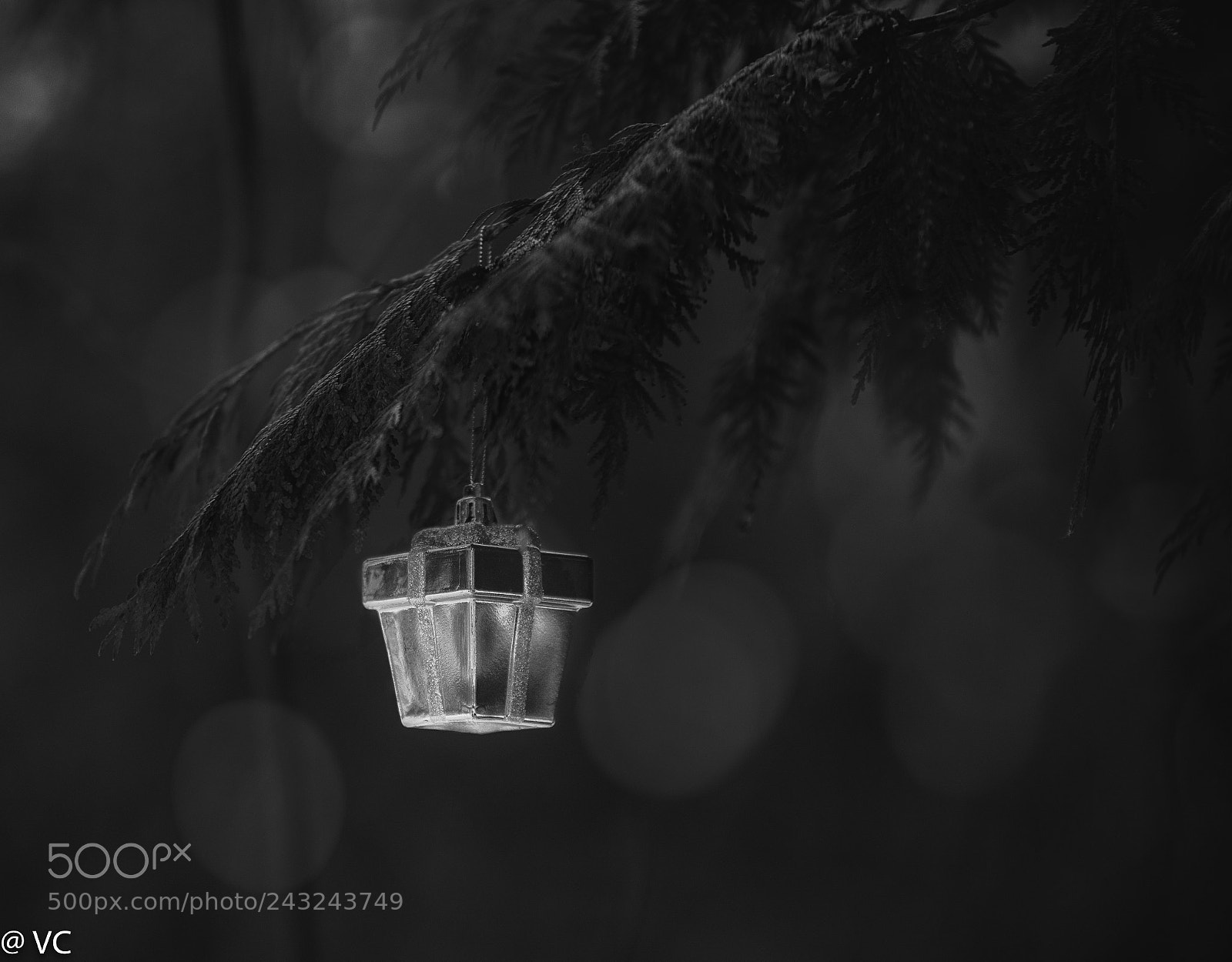 Nikon D810 sample photo. Magic photography
