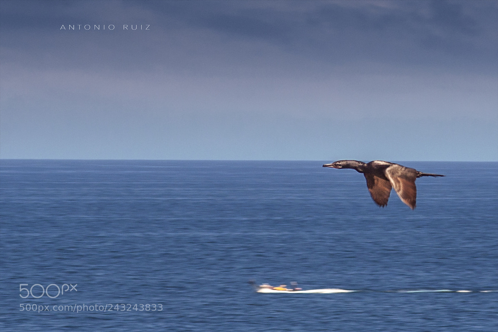 Canon EOS 20D sample photo. Volar, solo eso. photography