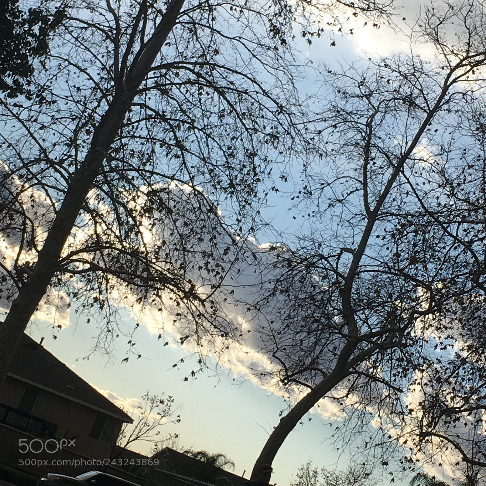 Apple iPhone 6s Plus sample photo. Beautiful sky s above photography