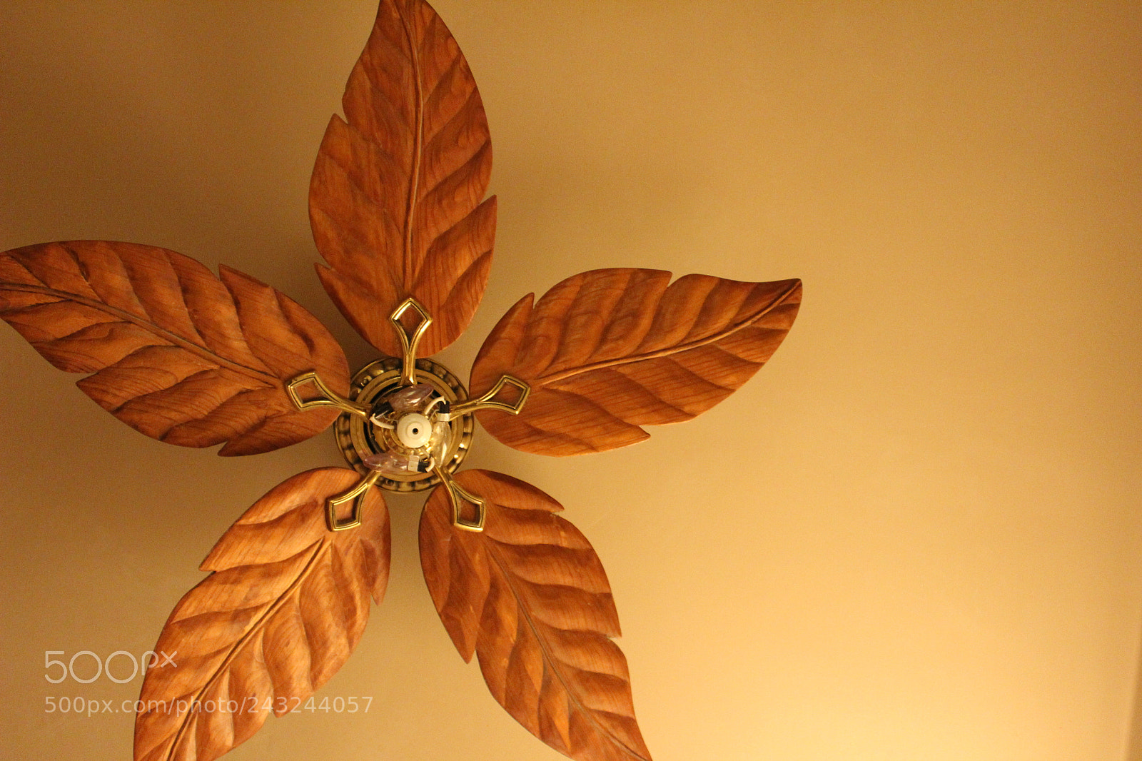 Canon EOS 1300D (EOS Rebel T6 / EOS Kiss X80) sample photo. Warm fan photography