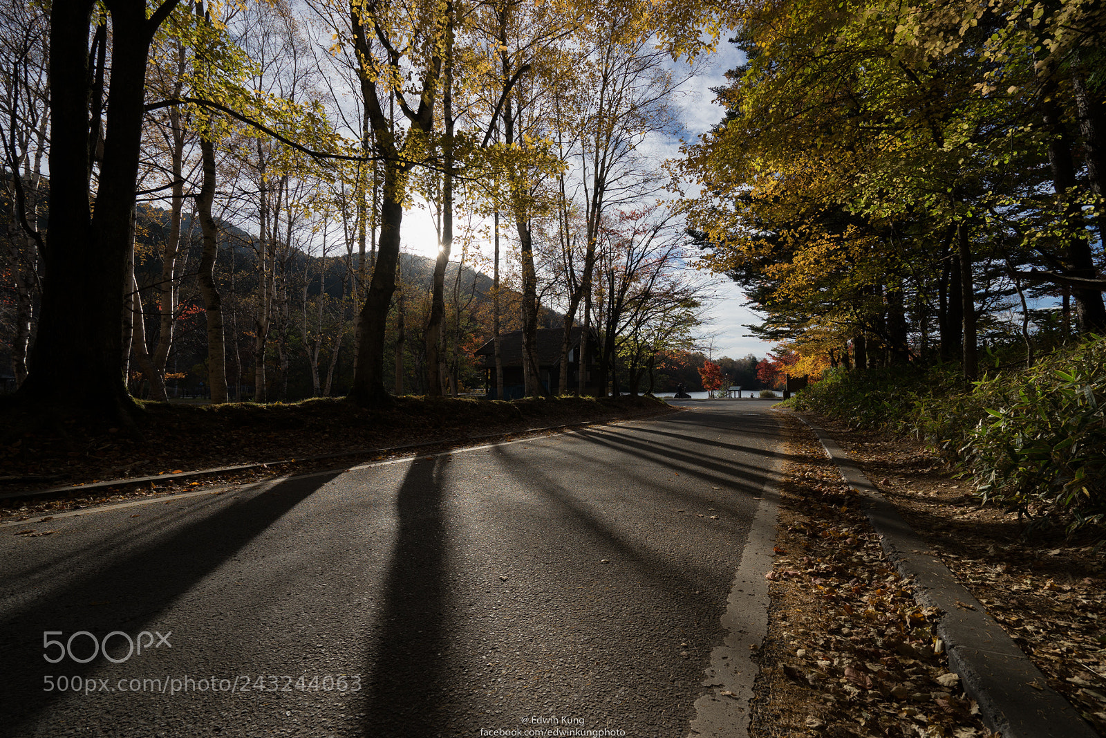 Sony a7 II sample photo. Nikko yumoto photography