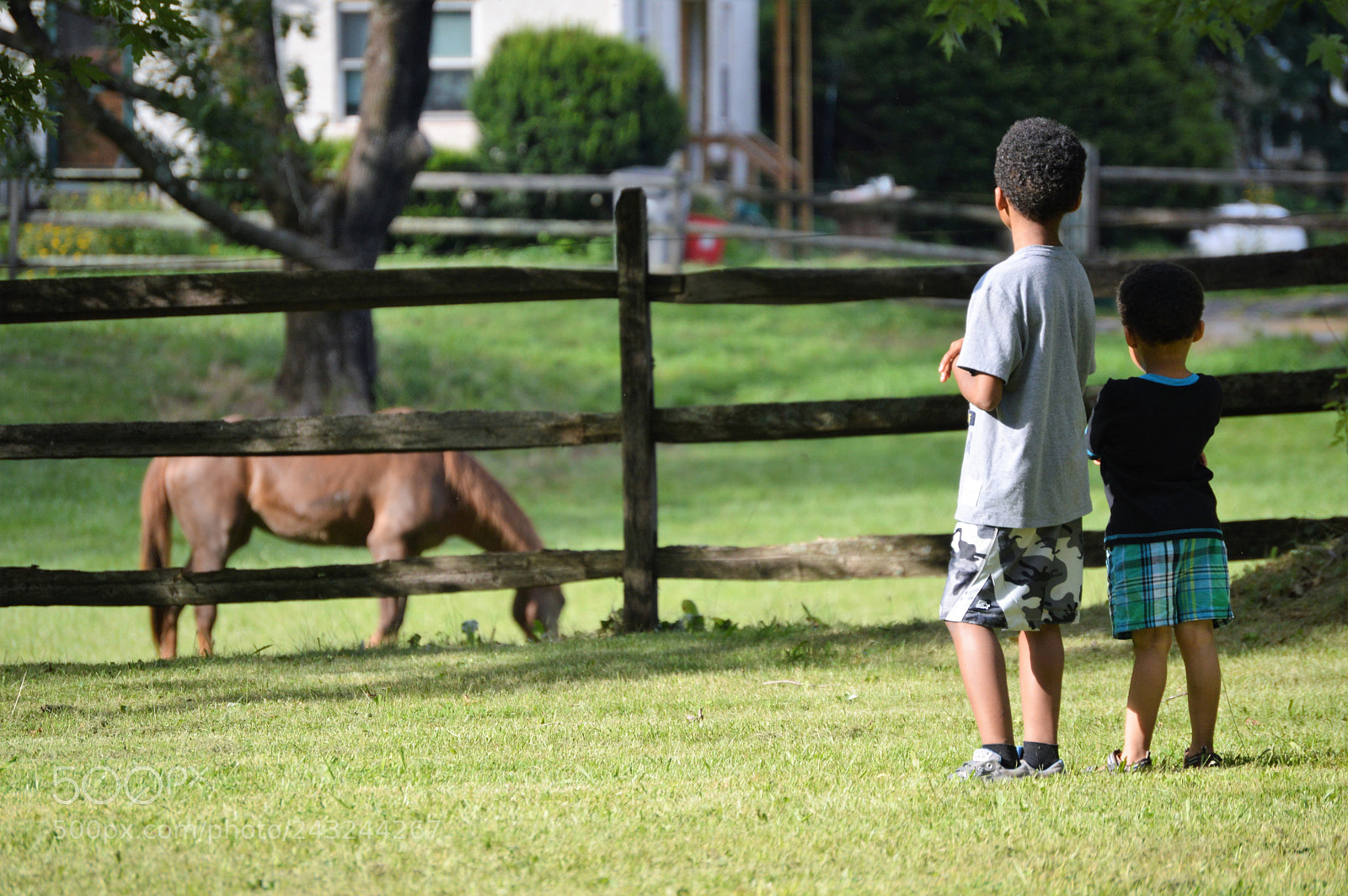 Nikon D3200 sample photo. Untitled photography
