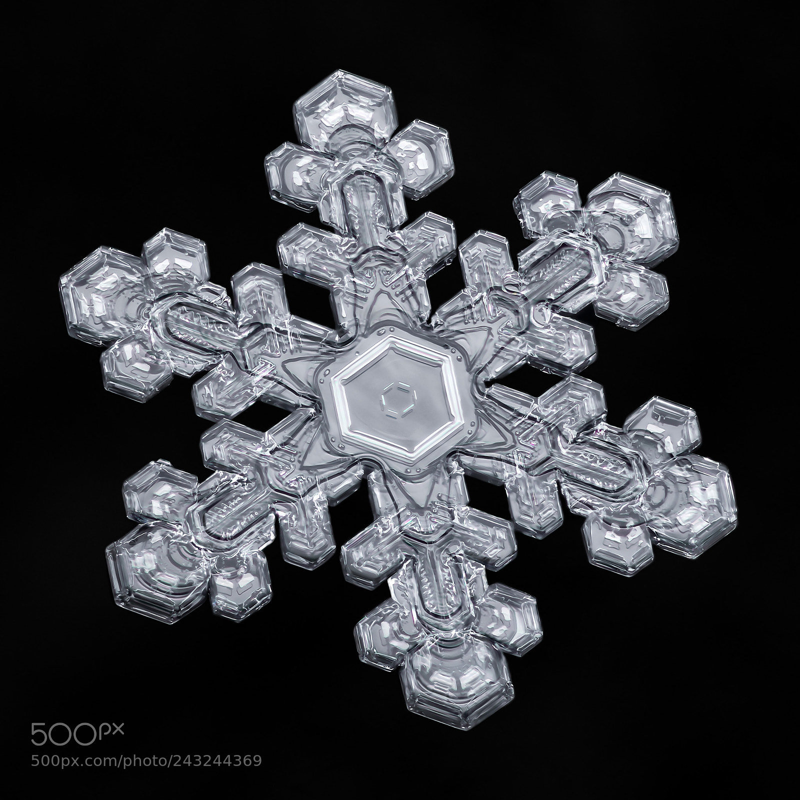 Canon EOS-1D X Mark II sample photo. Snowflake-a-day no. 38 photography