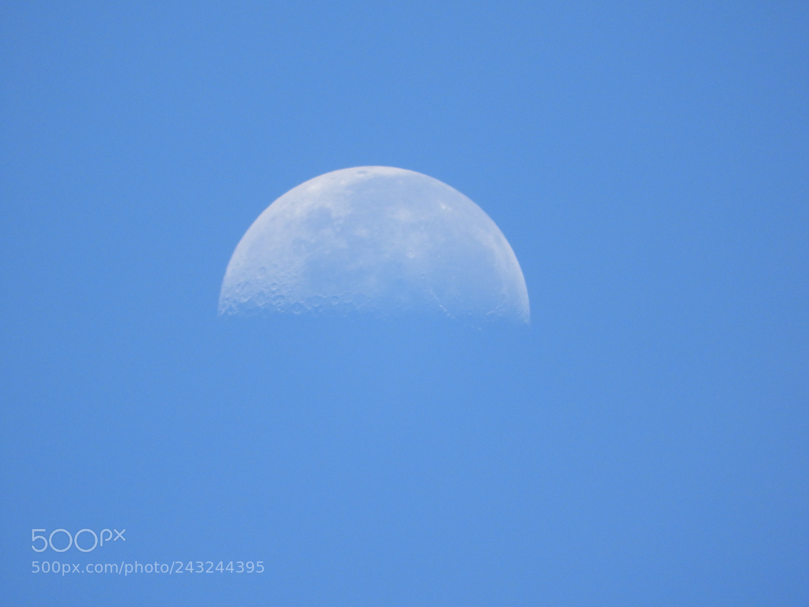 Nikon Coolpix B700 sample photo. Blue moon photography