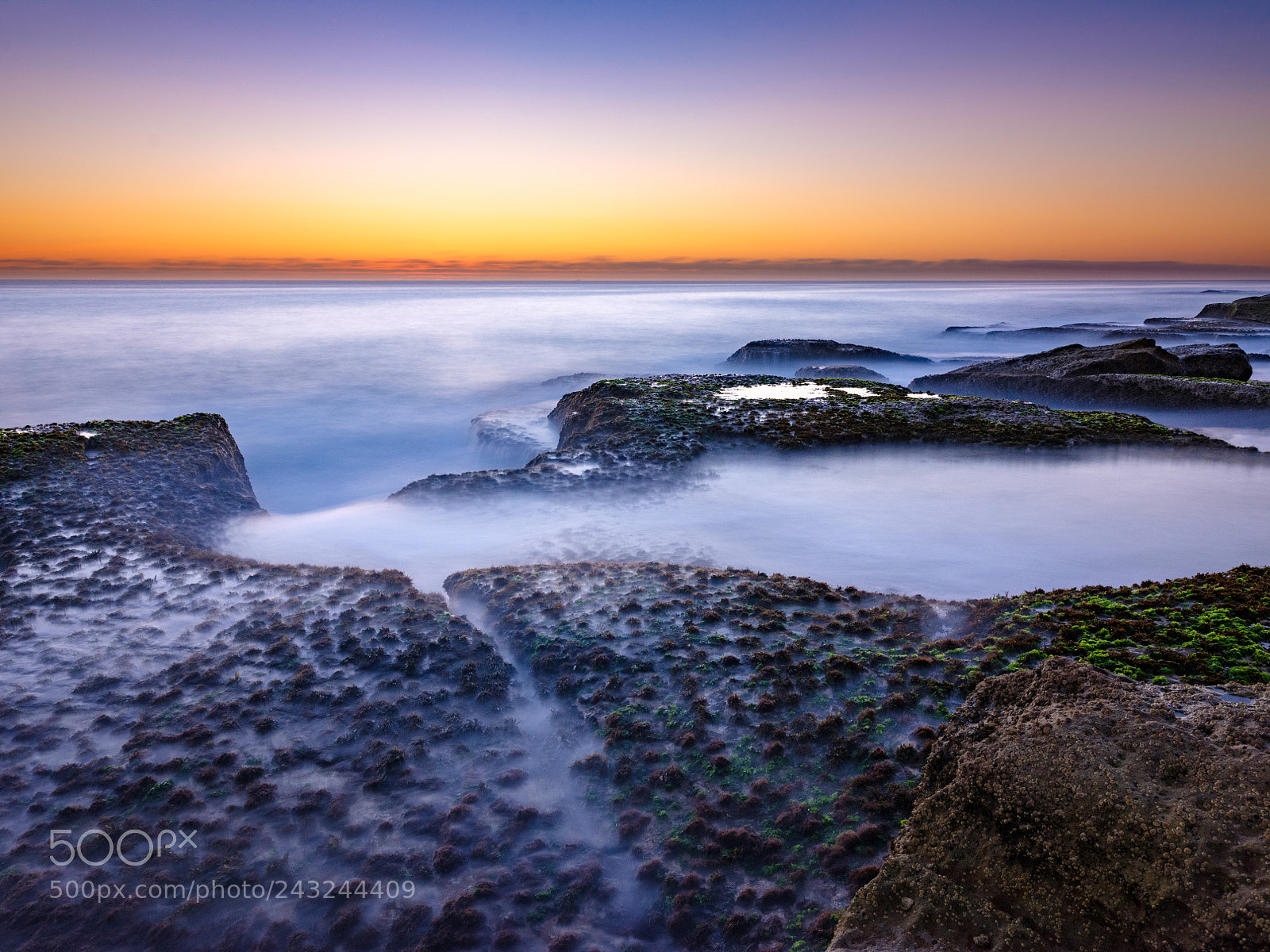 Fujifilm GFX 50S sample photo. Ocean rock garden photography