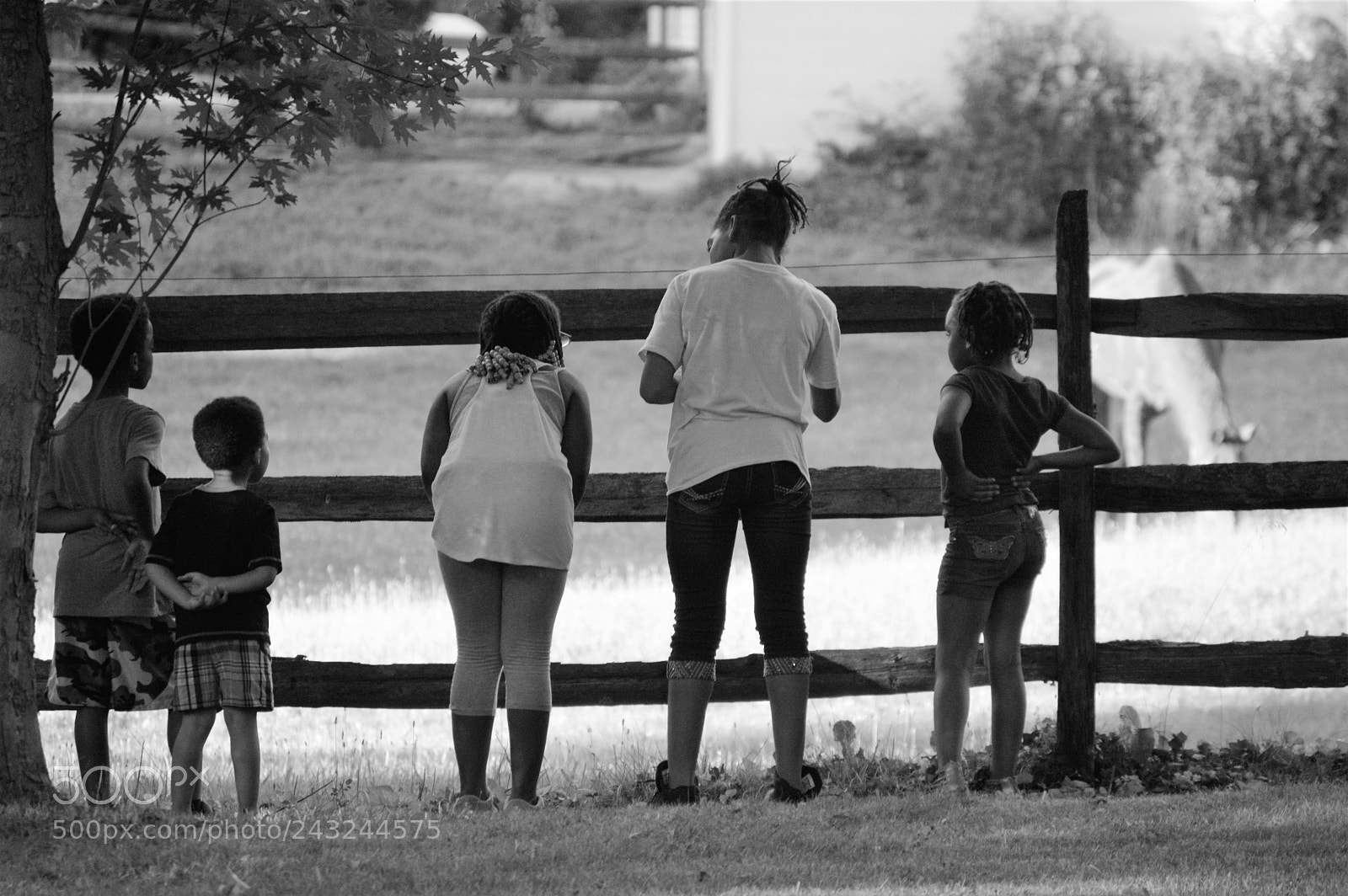 Nikon D3200 sample photo. Untitled photography