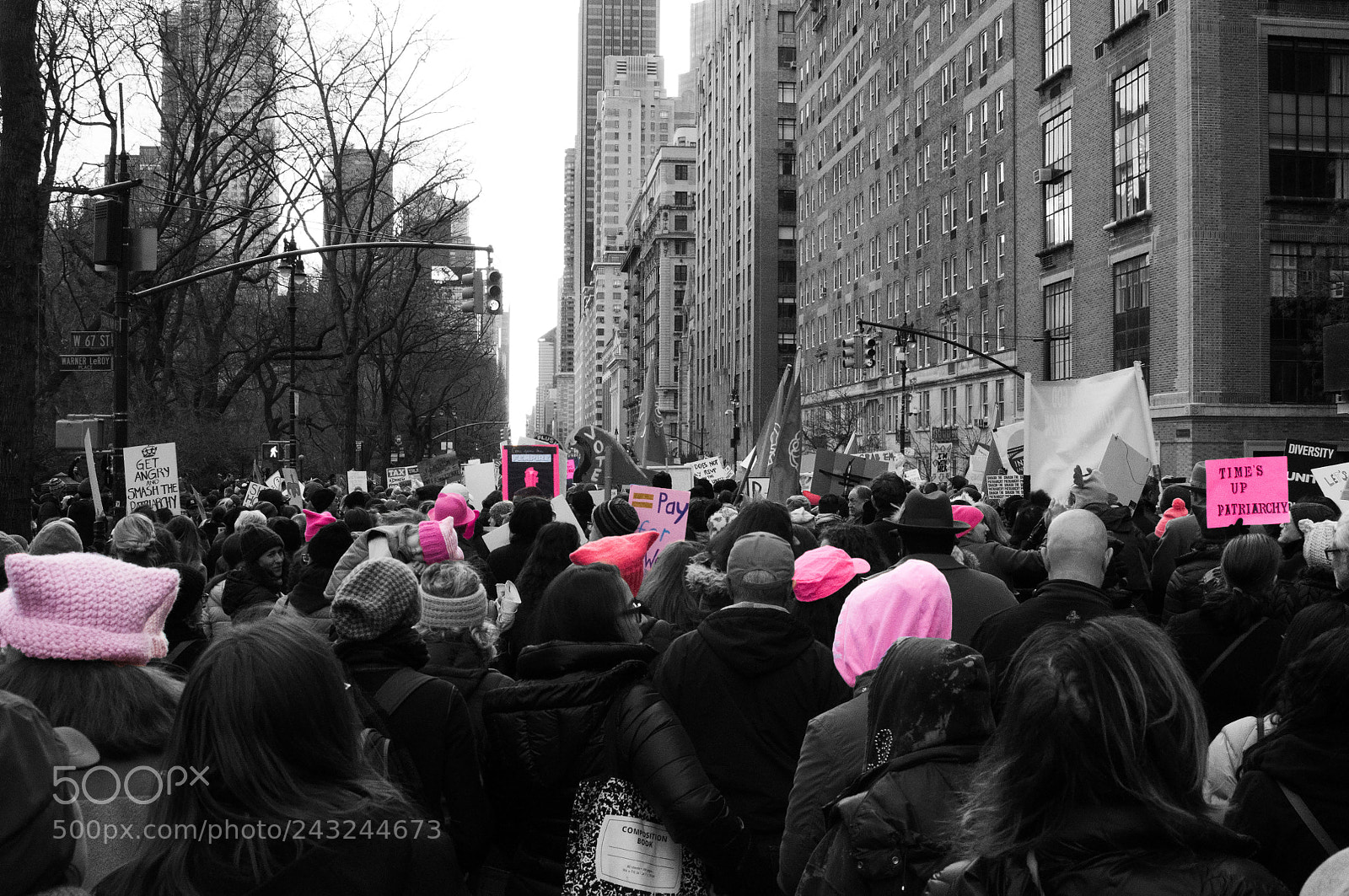 Nikon D90 sample photo. Women's march in new photography