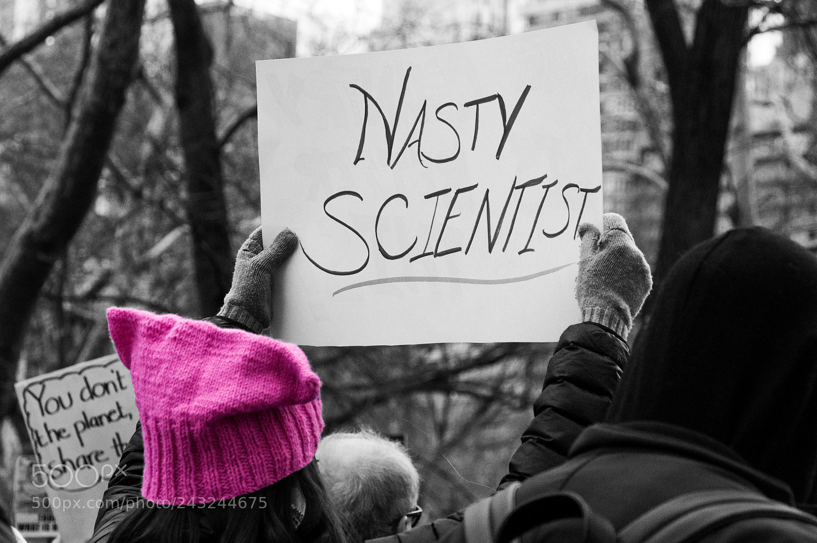 Nikon D90 sample photo. Women's march in new photography