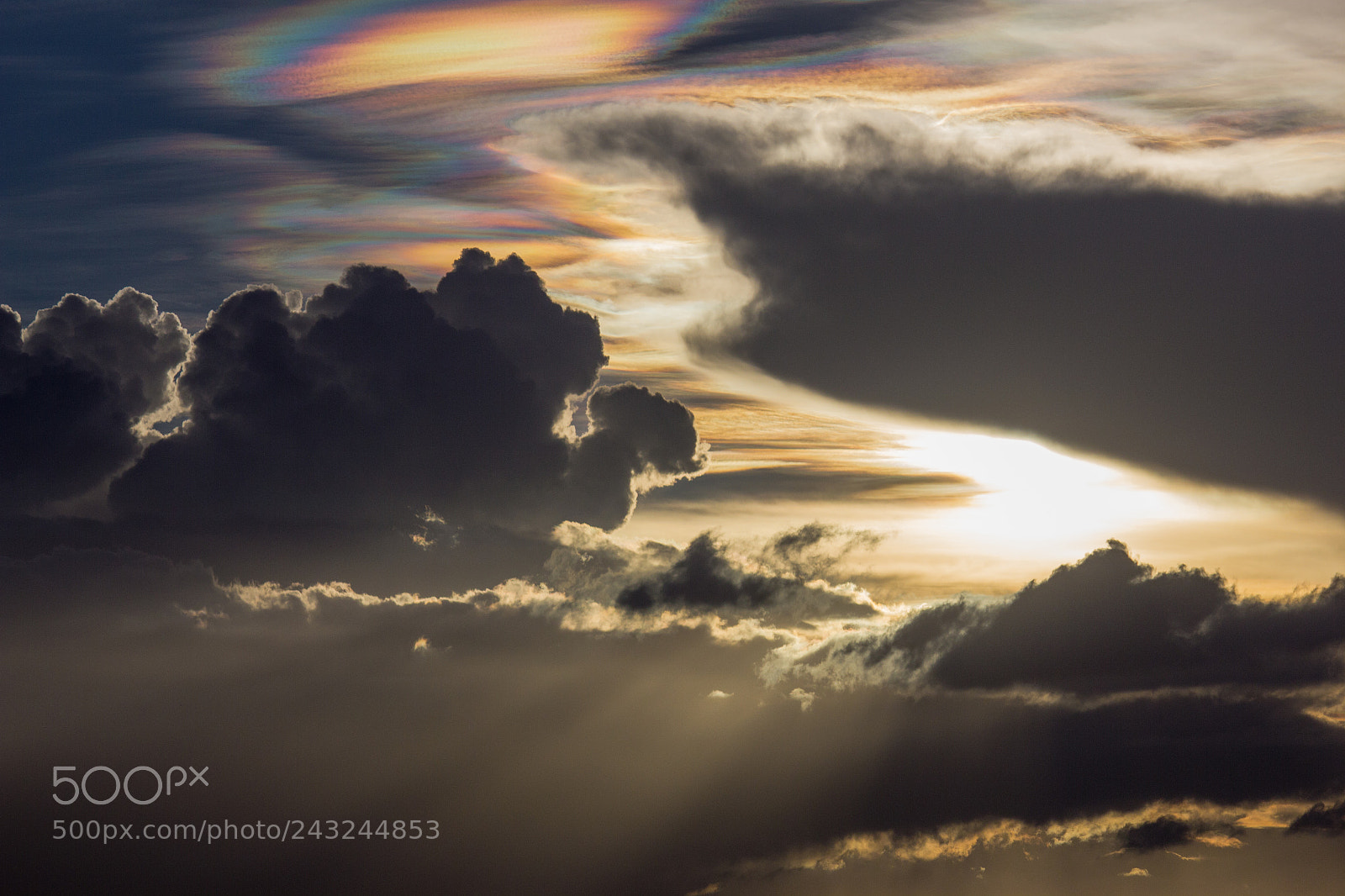 Canon EOS 550D (EOS Rebel T2i / EOS Kiss X4) sample photo. Circumhorizon arc photography