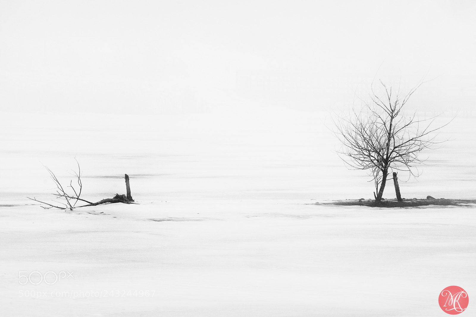 Fujifilm X-T1 sample photo. Silence of the fog photography