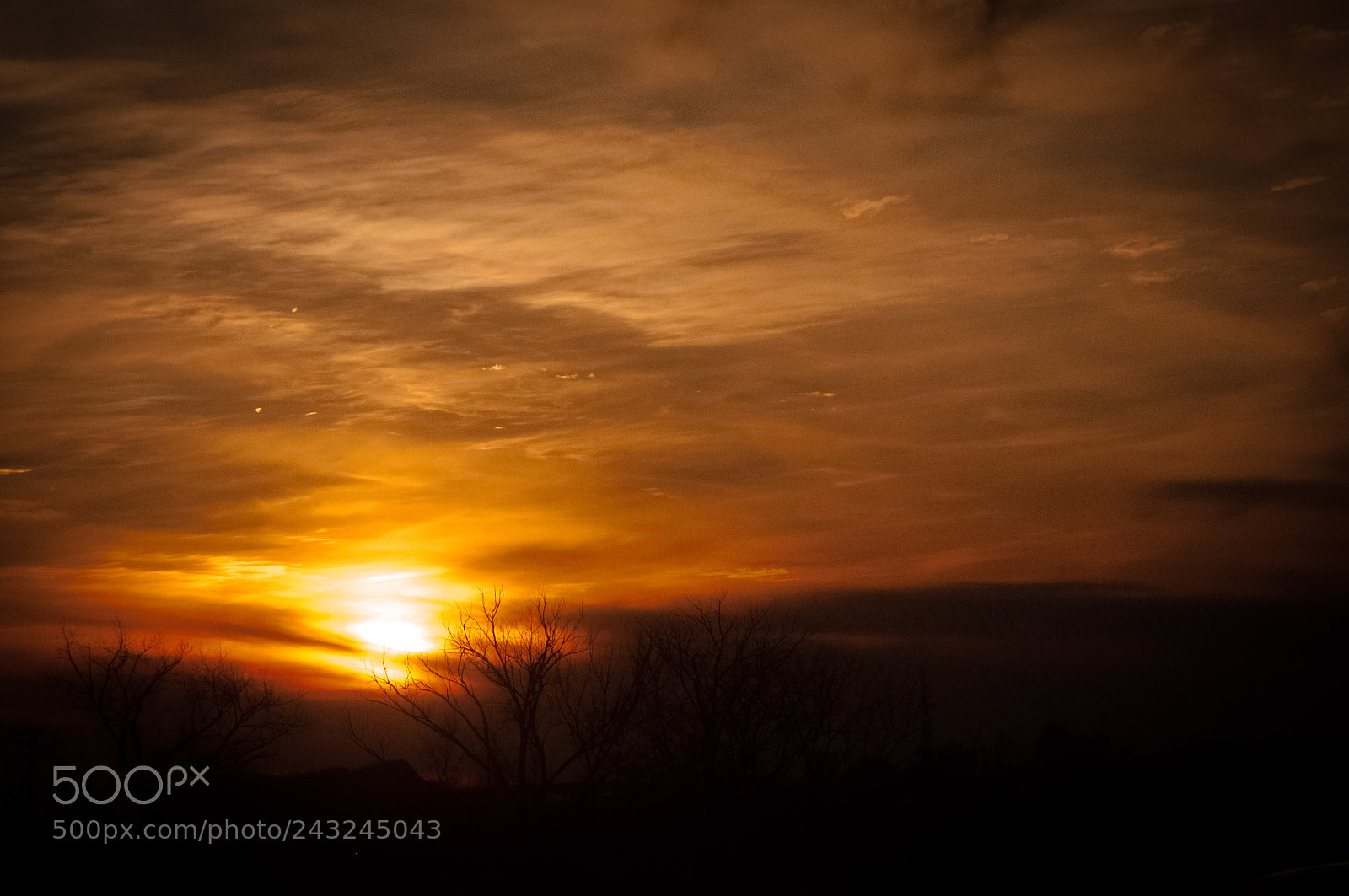 Nikon D90 sample photo. A sunset photography