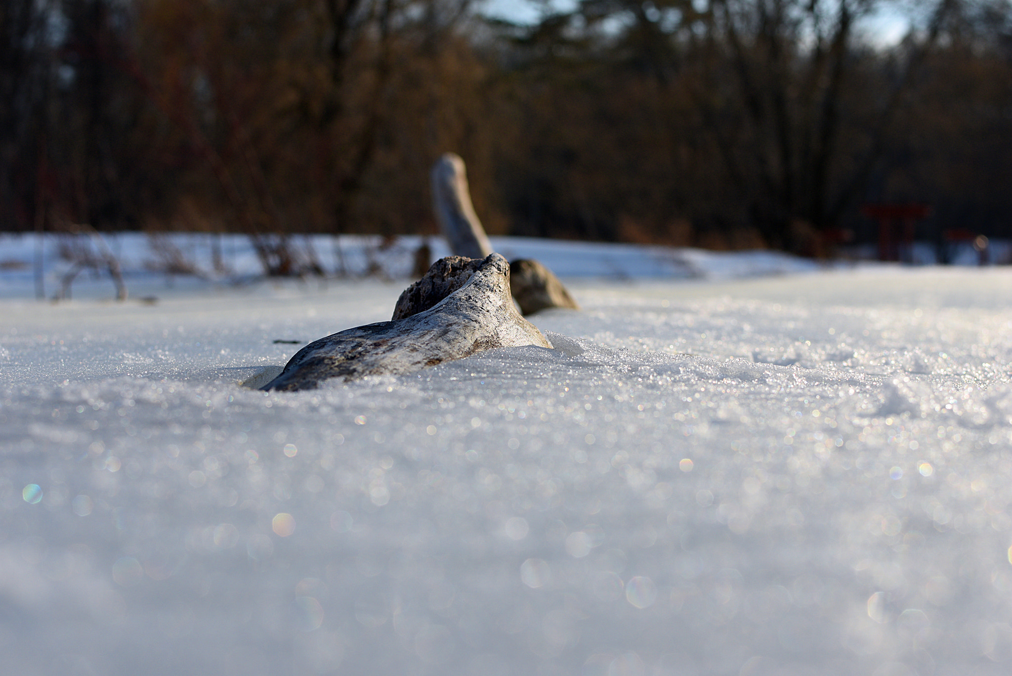 Nikon D3400 + Nikon AF-S DX Nikkor 35mm F1.8G sample photo. Frozen photography