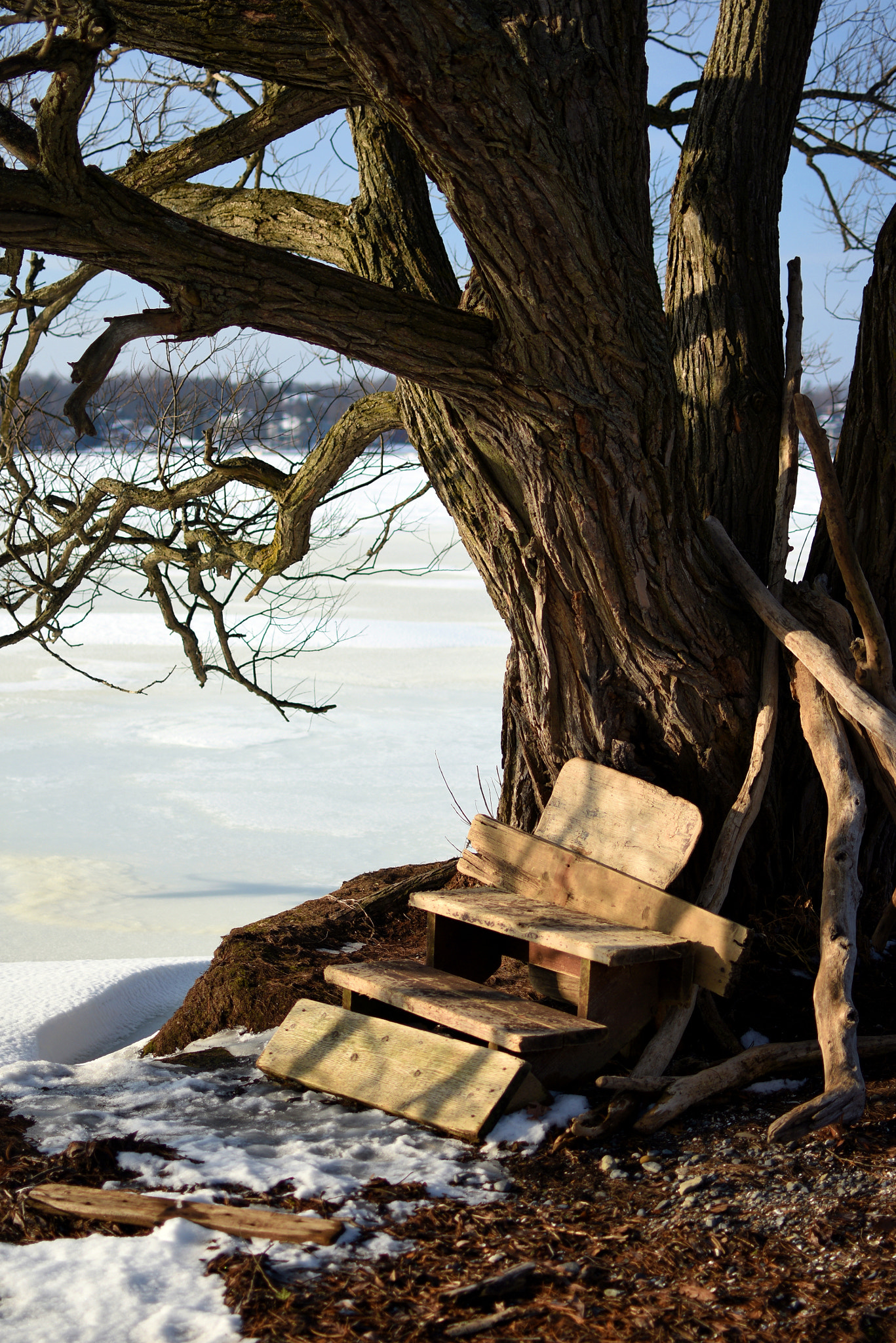 Nikon D3400 + Nikon AF-S DX Nikkor 35mm F1.8G sample photo. Lake shore photography
