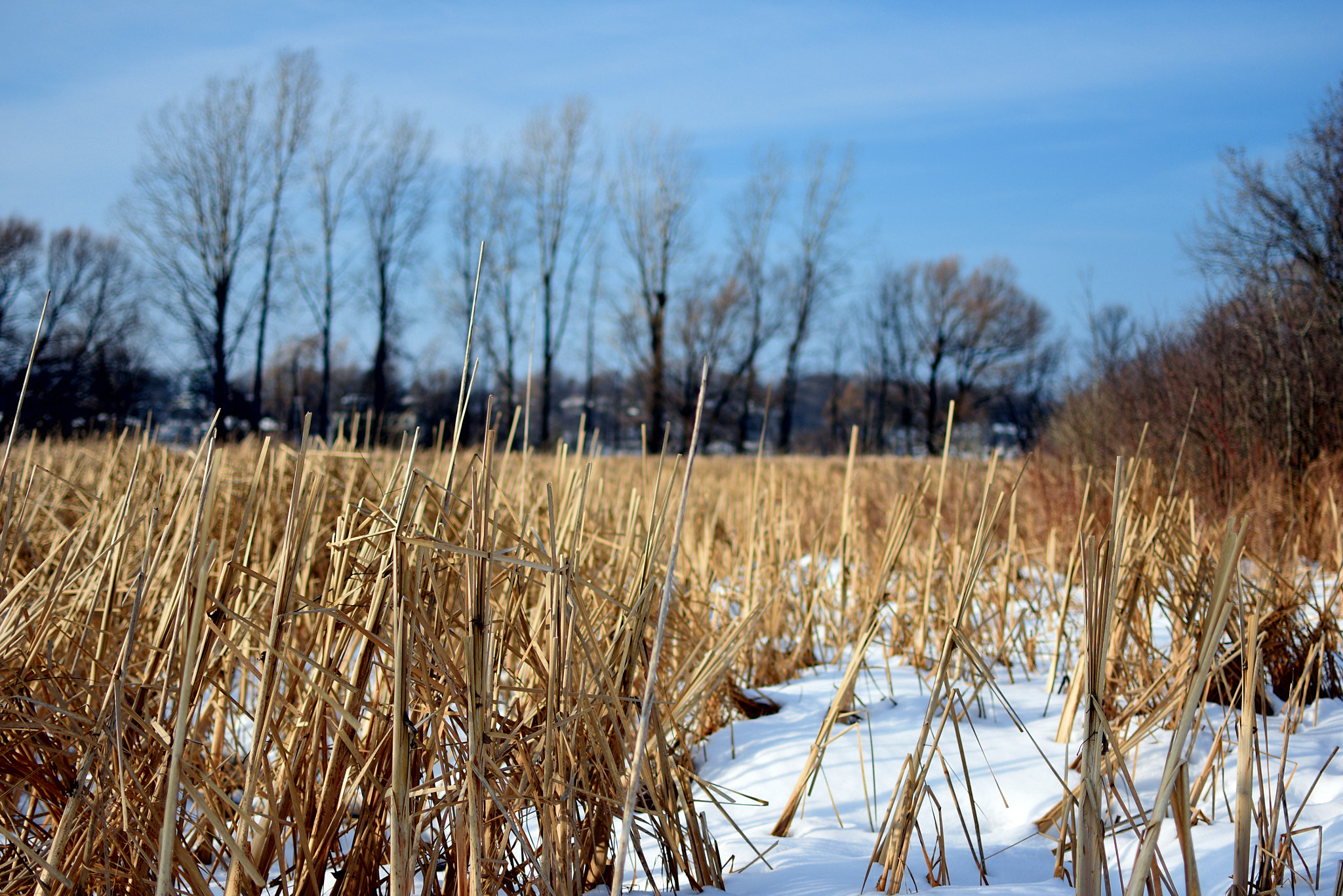 Nikon D3400 + Nikon AF-S DX Nikkor 35mm F1.8G sample photo. Winter lake photography