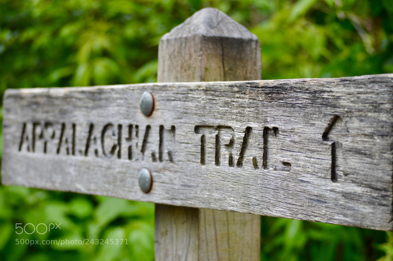 Nikon D3200 sample photo. Appalachian trail photography