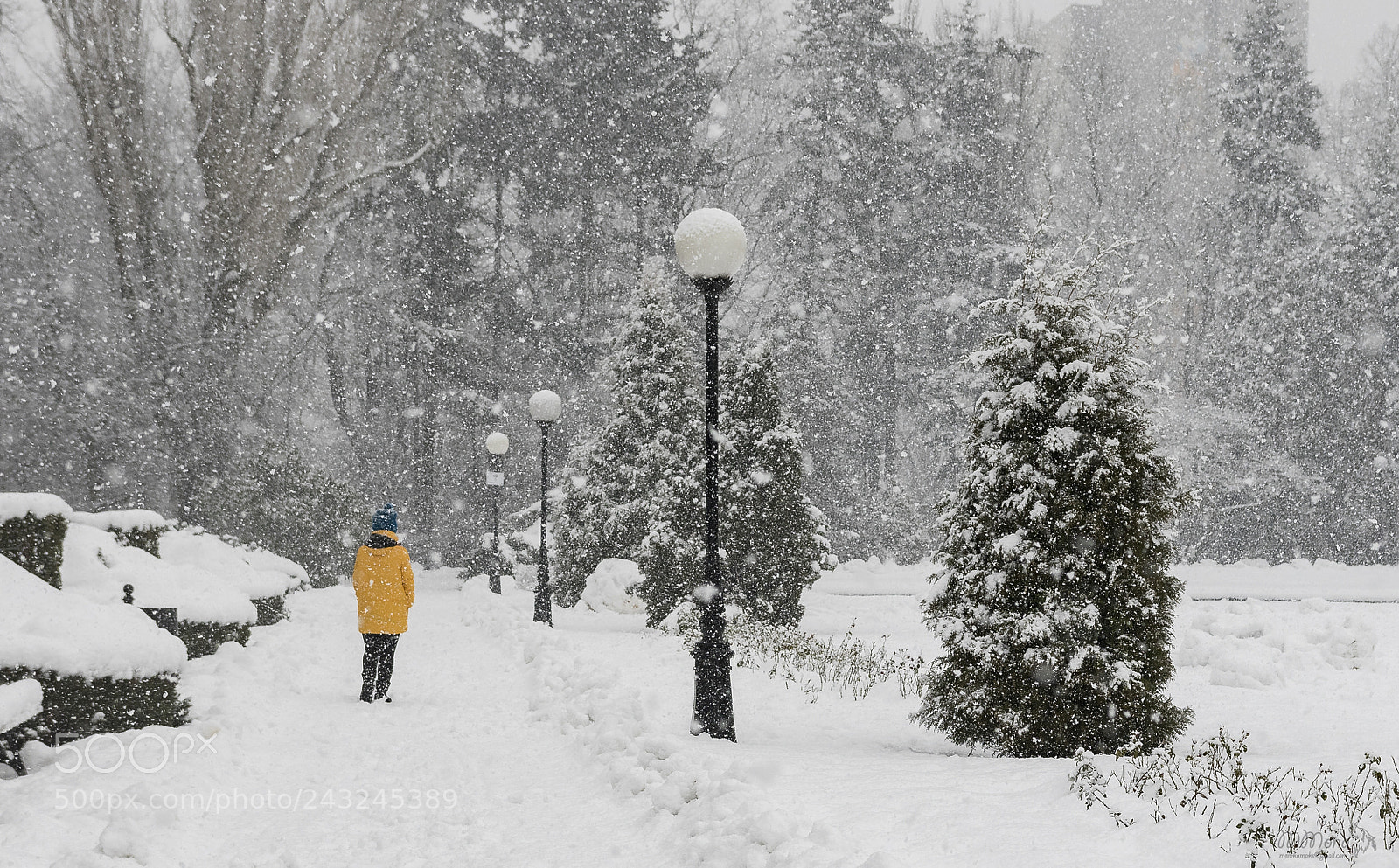 Canon EOS 7D Mark II sample photo. Snow photography